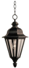 Exterior -Hanging - 293491 - Light Center (The)