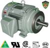 IEEE-841 Motors-C-Face, IEEE-841 C-Face - Rigid Base -- IEEE1.5-36-143TC - Image