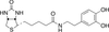 N-Biotinyl Dopamine - 20831 - Medical Isotopes, Inc.