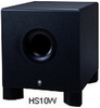 Professional Studio Powered Subwoofer - HS10W - Visual Sound, Inc.