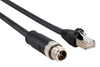 Cameras - ACC-AM-CON-VIE-SS8P-M12-RJ45-G-5M-S -  - Schmersal Inc.
