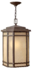 Exterior -Hanging - 314204 - Light Center (The)