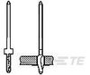Automotive Terminals - 1-929958-2 - TE Connectivity