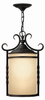 1142OL Exterior -Hanging - 405143 - Capital Lighting, Inc.
