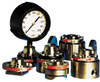 Diaphragm Pressure Seal - Image