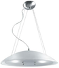 LSI-1858FRO Pendants-Glass Down - 668597 - Capital Lighting, Inc.