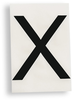 ToughStripe Die-Cut Black Letter X - 121829 - Brady Corporation
