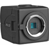 Security Camera - Radwell International