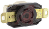 Receptacle; 30 A; 480 VAC; Black; Brass; Bronze; Brass; Bronze; Nylon Polyester - 70116443 - Allied Electronics, Inc.