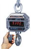 Digital Crane Scale -- MSI-9300 - Image