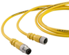Dual Key Micro-Link Cable Assembly, PUR, Male/Female, 2 pole, 12', 22 AWG -- 402K0120K - Image