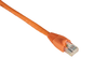 3FT Orange CAT6 550MHz Patch Cable UTP CM Snagless - EVNSL649-0003 - Black Box