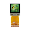 LCD, OLED, Graphic - 3190-DLC0060AZOF-ND - DigiKey