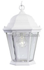 One-Light Outdoor Hanging Lantern Fixture - P5582-30 - bulbs.com
