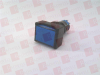 Pushbutton -- 123479729 - Image