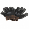 Personal Protective Equipment (PPE) - PDBNY-ND - DigiKey