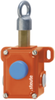 Emergency Pull-wire Switch -- ZS 441 - Image
