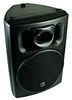 ACE-15 Loudspeaker System -- 715015000