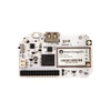 Development Boards, Kits, Programmers - Evaluation Boards - RF Evaluation and Development Kits, Boards - OM-O2PRO - Acme Chip Technology Co., Limited