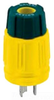Locking Device Plug -- 24W49BRY - Image