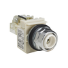 Panel Indicators, Pilot Lights - 4008-9001KT38LW-ND - DigiKey