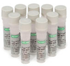 iTaq Supermix With ROX - 172-5855 - Bio-Rad Laboratories, Inc.