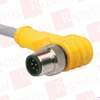 QD Cable/Cord Set - 4211869 - Radwell International