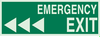 Glow-in-the-Dark Exit & Directional Sign - 90924 - Brady Corporation