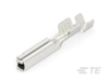 Automotive Terminals - 1393366-2 - TE Connectivity
