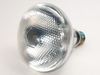 150 Watt, 130 Volt PTFE Safety Coated ONE PIECE BR-38 Flood -- GSS63050-TEF - Image