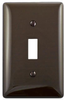 Standard Wall Plate -- NP1 - Image