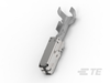 Automotive Terminals - 1703034-1 - TE Connectivity