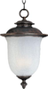 Exterior -Hanging - 268391 - Light Center (The)