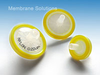 Syringe Filter - SFNY025200S - Membrane Solutions