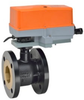Characterized Control Valves -- B6250S-070+AFRX24 N4 - Image