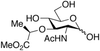 2-Acetamido-3-O-(D-1-carboxyethyl)-2-deoxy-2-D-glucose Met.. - 6016 - Medical Isotopes, Inc.