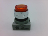 Pilot Light - Radwell International