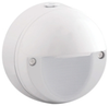 Outdoor Wall Light - WPLEDR5W - RAB Lighting