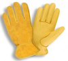 Select Grain Deerskin Drivers Gloves (1 Dozen) - 9015 - Wiper Master, Inc.