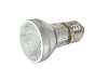 Incandescent Lamp - Radwell International