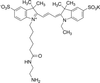 Cyanine 3 Monofunctional Hexanoic Acid Dye Ethylenediamine.. -- C960360
