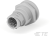 Push Button Switches - K1153931 - TE Connectivity