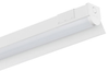 Light Reflectors -- 1250631