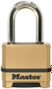 Padlocks -- 108934 - Image