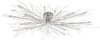 55506-CH Semi-Flush Mts.-Other - 406545 - Capital Lighting, Inc.