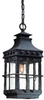 Exterior -Hanging - 264911 - Light Center (The)