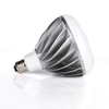 Definity Lamps -- BR40