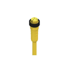 Circular Cable Assemblies - 500004098-ND - DigiKey