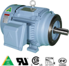 Hyundai Premium Efficiency Motors: C-Face, Hyundai C-Face: Rigid Base -- HHI125-18-444TSC