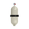 PULSATION DAMPENERS -- CT221H-SW